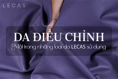 DA ĐIỀU CHỈNH - MỘT TRONG NHỮNG LOẠI DA LECAS SỬ DỤNG