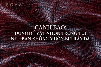 CẢNH BÁO: ĐỪNG ĐỂ VẬT NHỌN TRONG TÚI NẾU BẠN KHÔNG MUỐN BỊ TRẦY DA