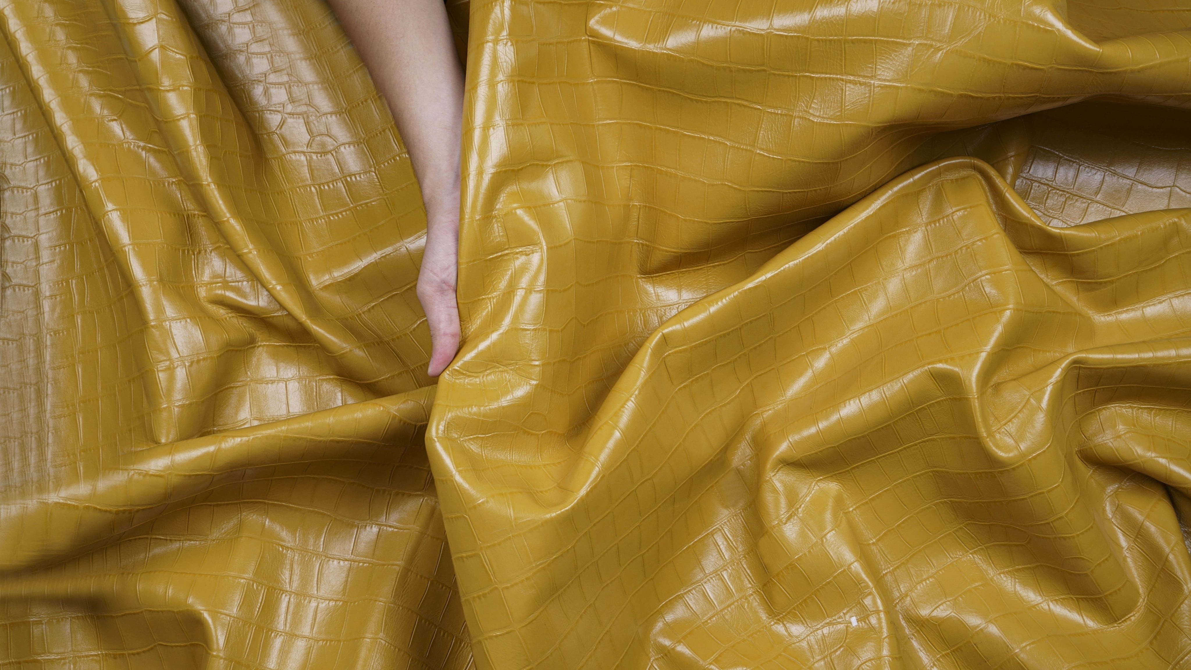 DA ĐIỀU CHỈNH / CORRECTED LEATHER